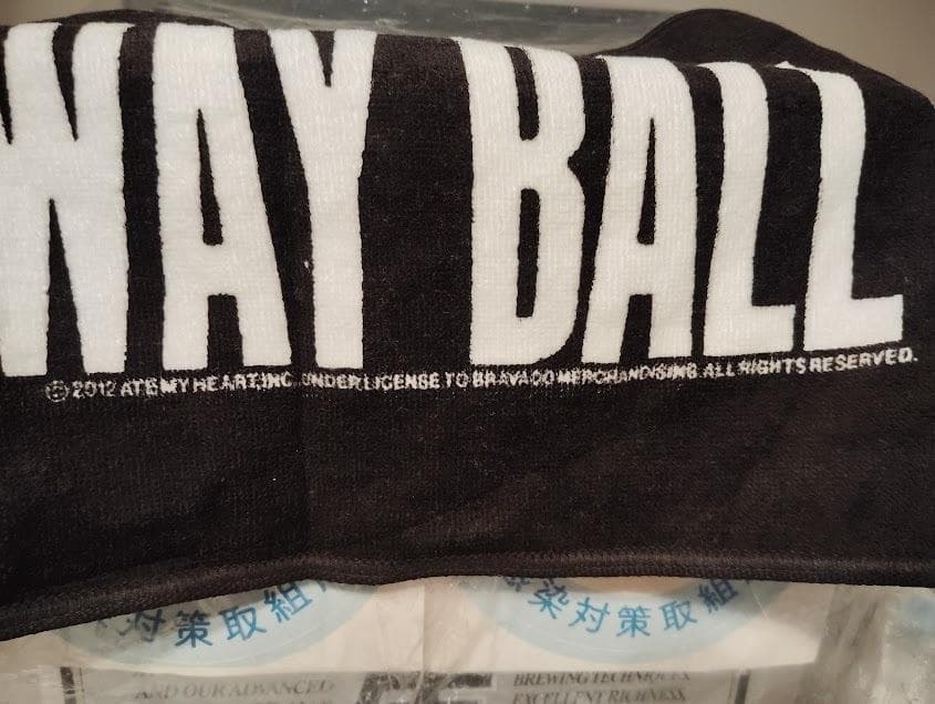 LADY GAGA / THE BORN レディーガガ マフラータオル