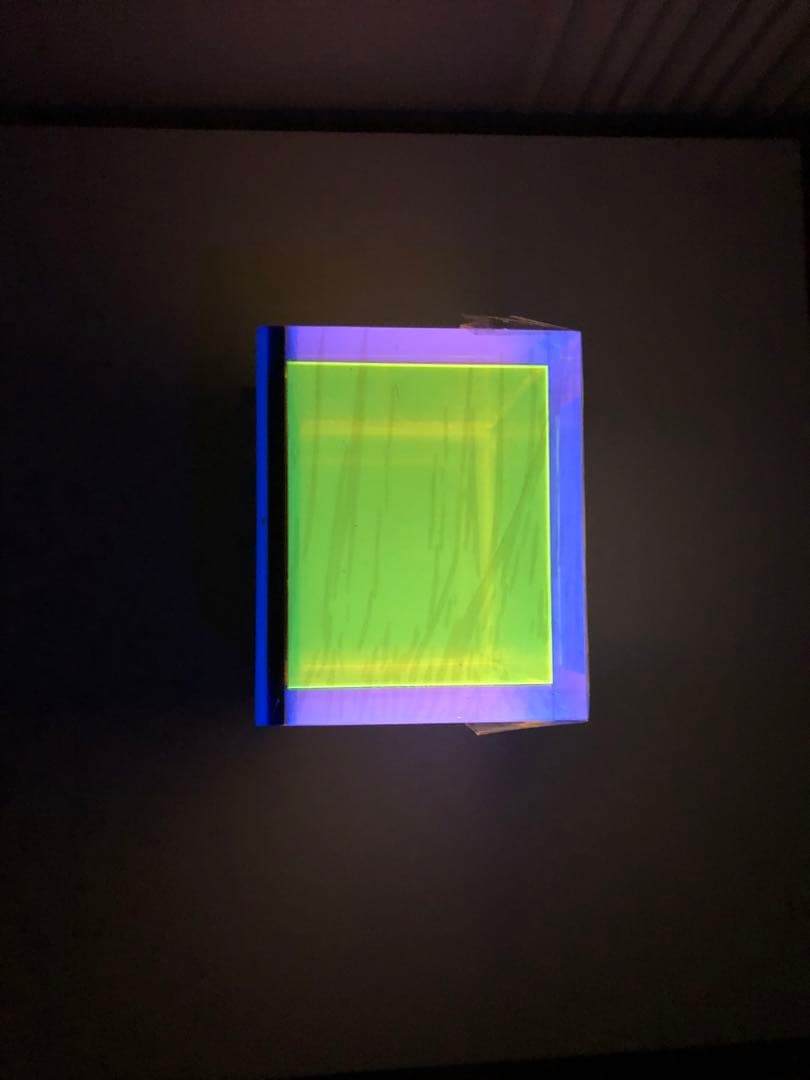 コレクター必見❗️希少‼️レギーネ・シューマン　Regine Schumann