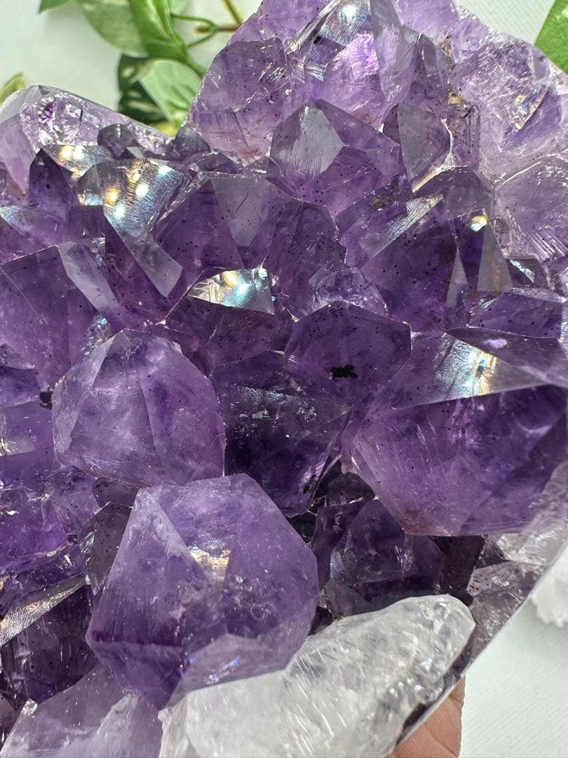 アメジストハートクラスター♡ロマネ入り♡カルサイト共生♡高級彫り台座