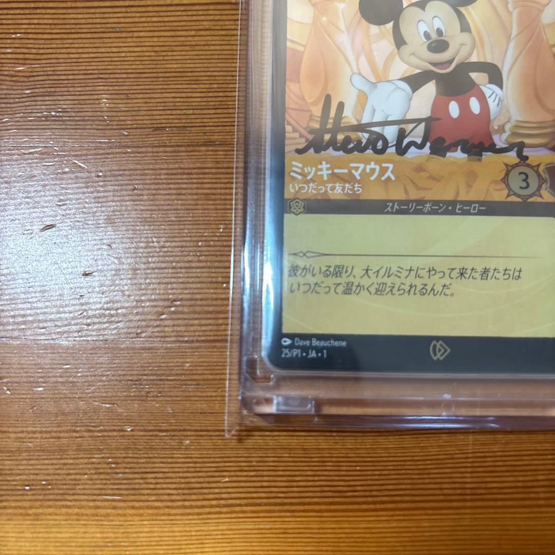 rainbow33様専用 ロルカナ スティーブワーナー 直筆サイン入カード