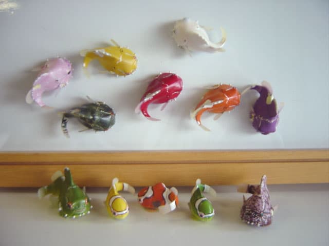 ♯Ivi06QtネイチャーMONOダンゴウオマグネットストラップ全16種 - メルカリ