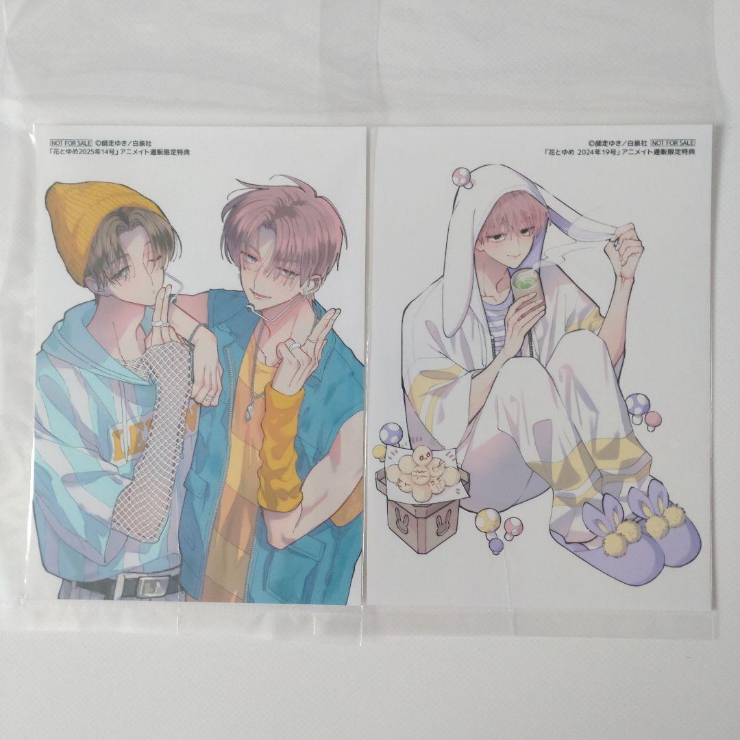 多聞くん今どっち 花とゆめ アニメイト通販特典 ブロマイド 2枚 - メルカリ