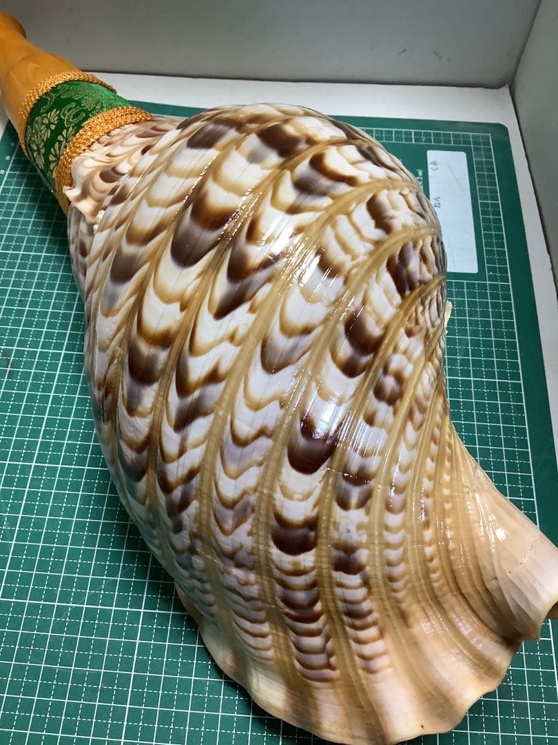 ヤフメリ62・法螺貝・山伏・修験者・戦国武将・豊臣兄弟・出羽三山・熊