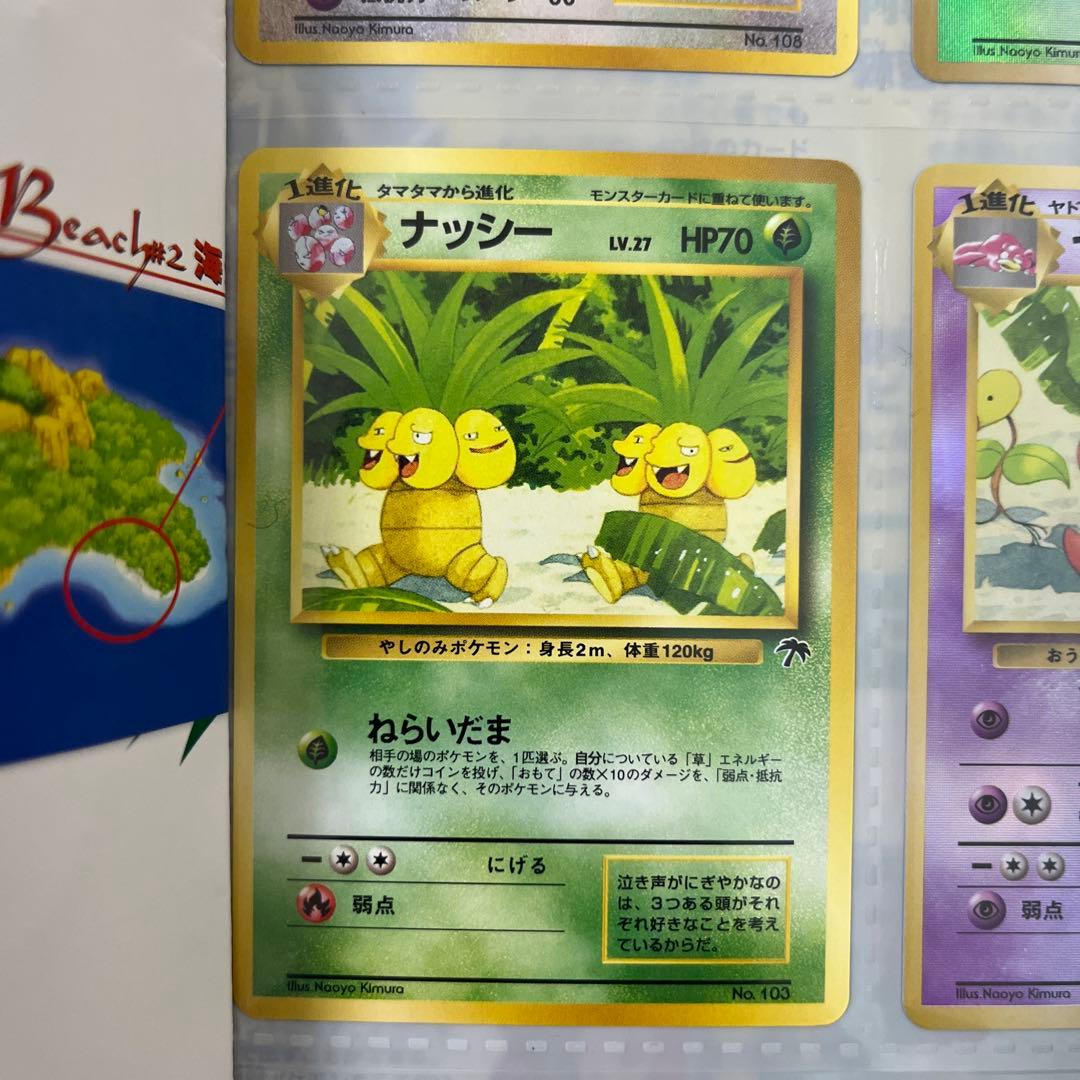 ポケモンカード 旧裏 トロピカルアイランドファイルセット ラフレシア