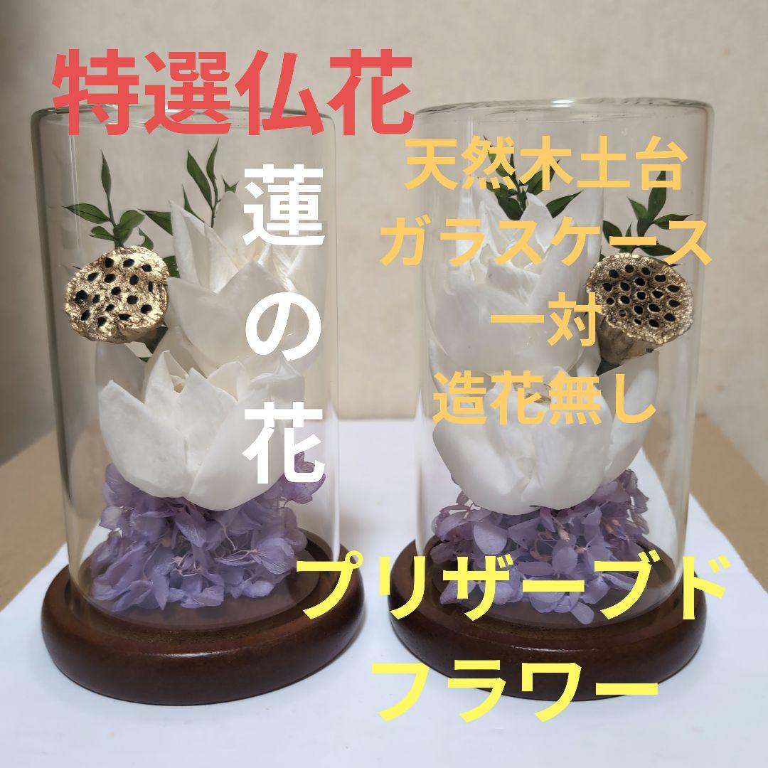 特選仏花　蓮の花　ガラスケース　天然木土台一対　造花無し　 プリザーブドフラワー