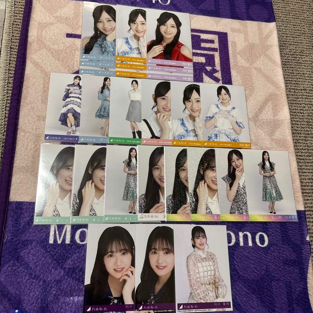 乃木坂46 生写真 向井葉月 まとめ売り - メルカリ