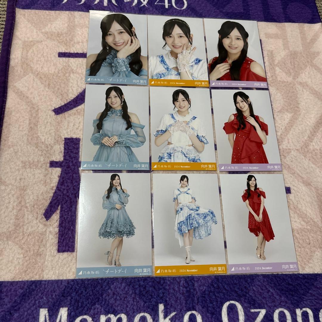 乃木坂46 生写真 向井葉月 まとめ売り - メルカリ