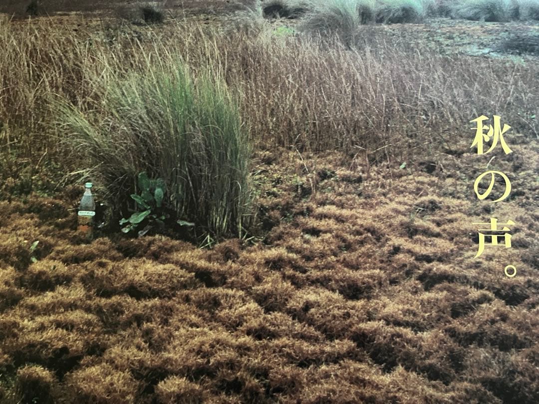 いいちこポスター 2枚セット - メルカリ