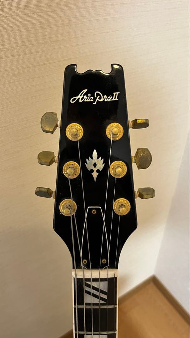 Aria Pro II PE-175 ハーブエリスモデル ケースなし - メルカリ