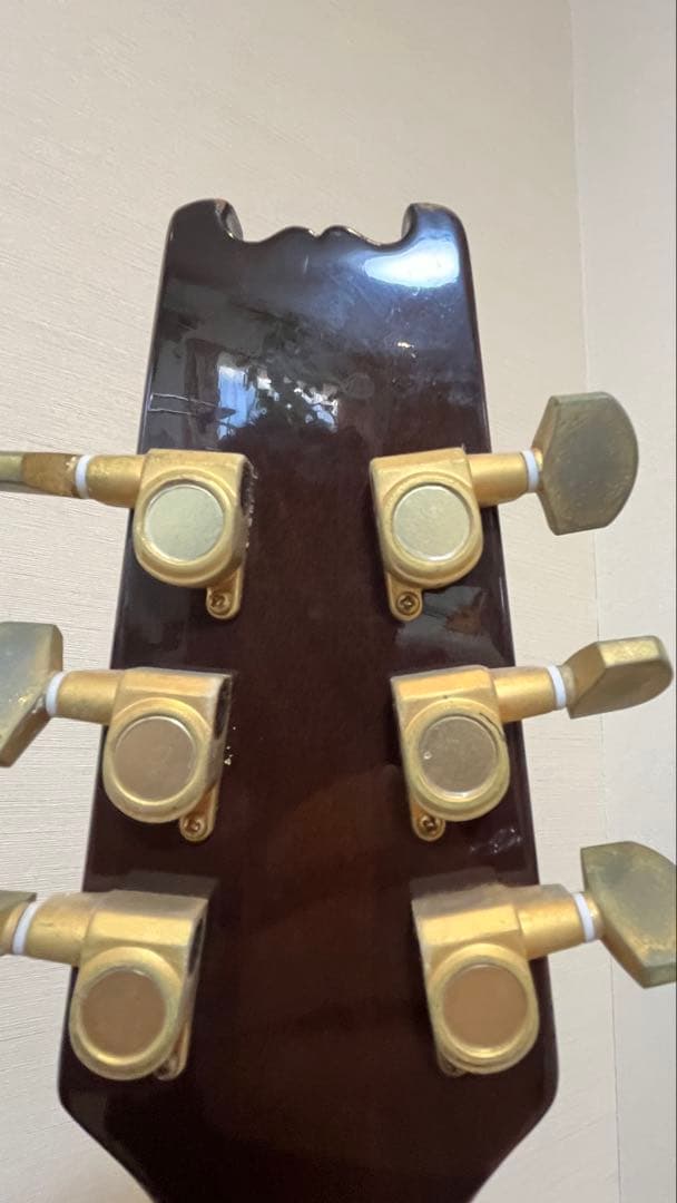 Aria Pro II PE-175 ハーブエリスモデル ケースなし - メルカリ