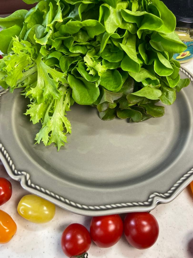 新品　ディナープレート　お皿　3カラー　ホワイト　ココア　グレー　3枚セット