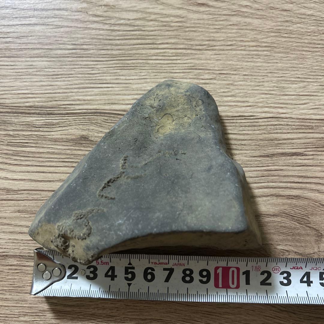 化石 爬虫類 ノジュール - メルカリ