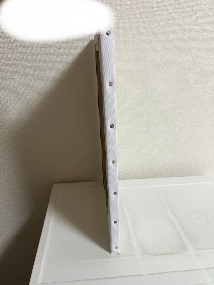 ローゼンメイデン 複製原画ジークレー、 水銀燈 PEACH-PIT 直筆サイン