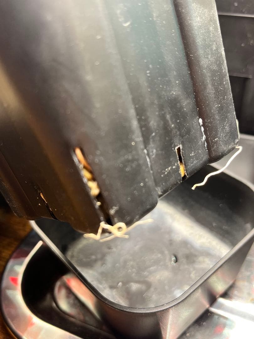 最終】エボリスピナ× BB hybrid ハイブリッド①発根活着 - メルカリ