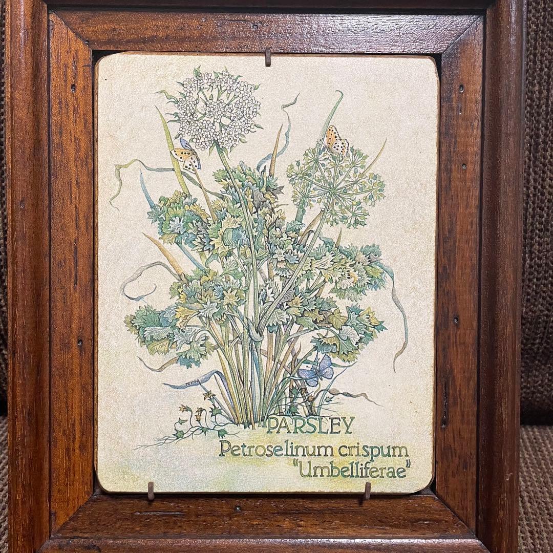 美品】 アンティーク ボタニカルアート 植物画 木製 額 2枚セット