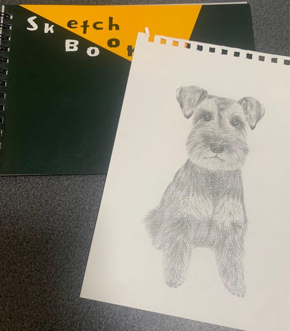 ミニチュアシュナウザー 鉛筆画 手描き デッサン イラスト - メルカリ