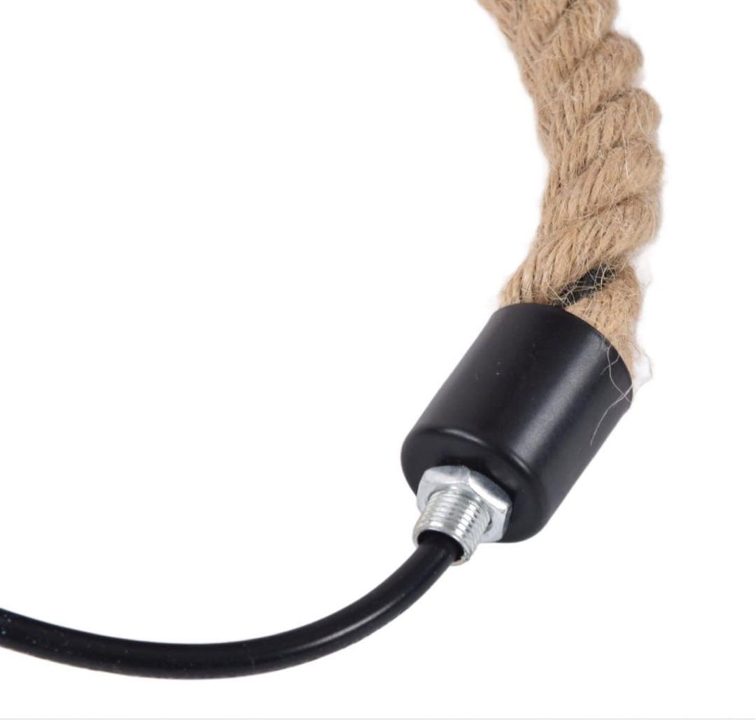 【新品☆送料込】モンキー・シーリングライト：インダストリアル