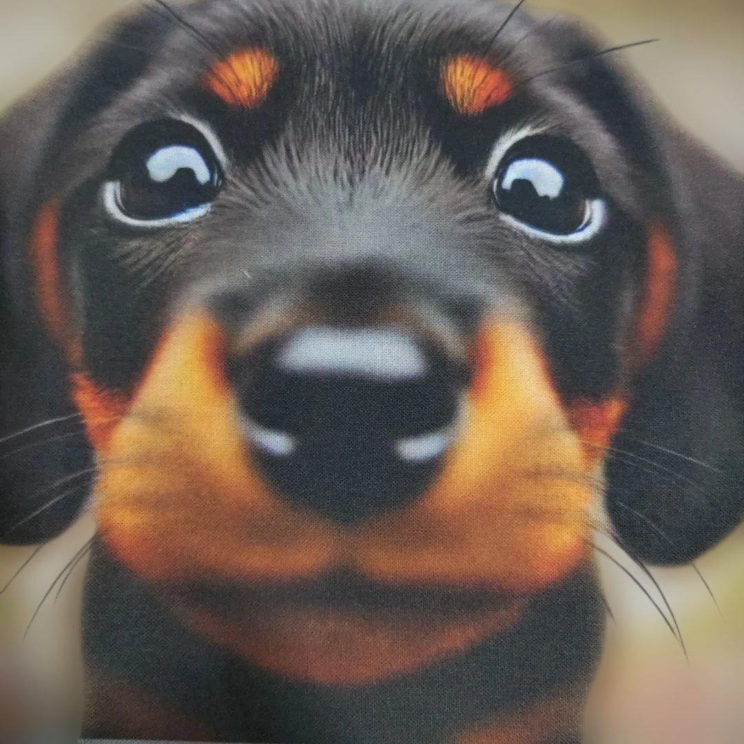 ⑧パネル生地15枚☆ダックスフンド18cm✕18cm - メルカリ