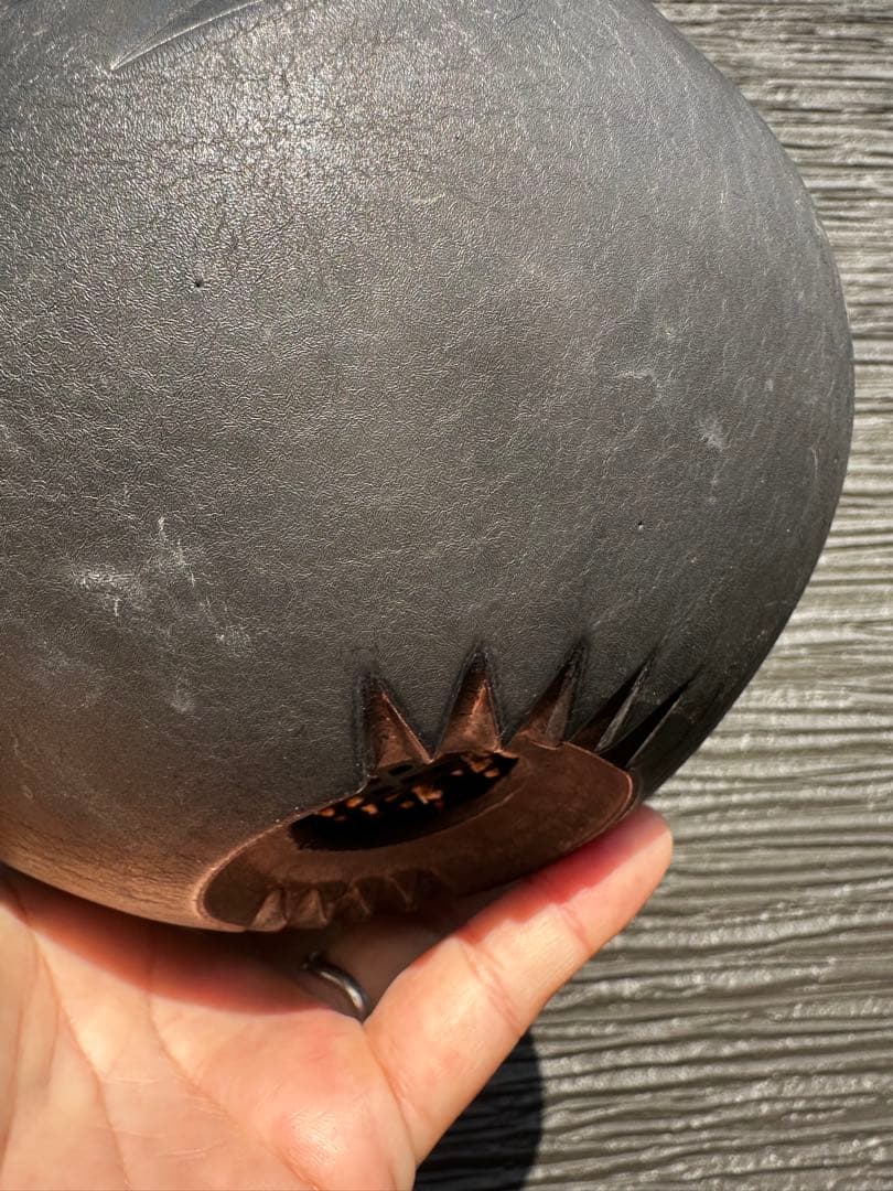 アガベ チタノタ バリエム鉢LL付き