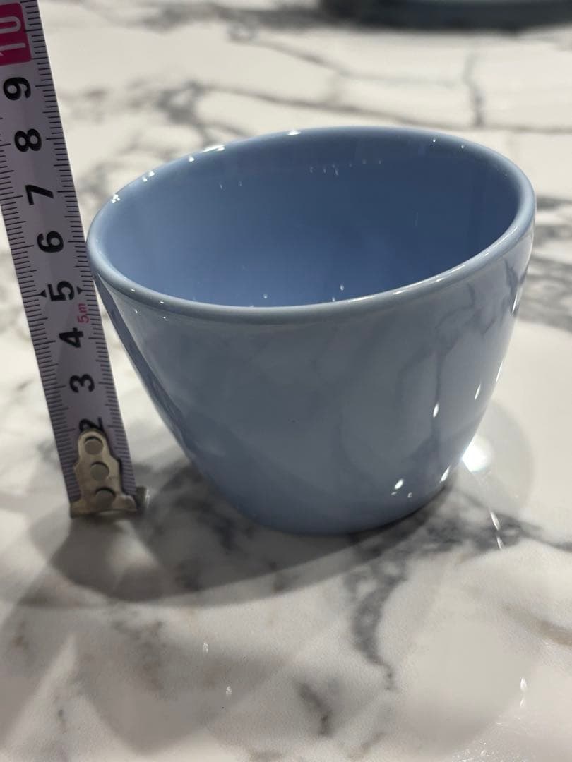 フランス高級老舗【PILLIVUYT（ピリヴィッツ）】プレート&ミニボウル8点