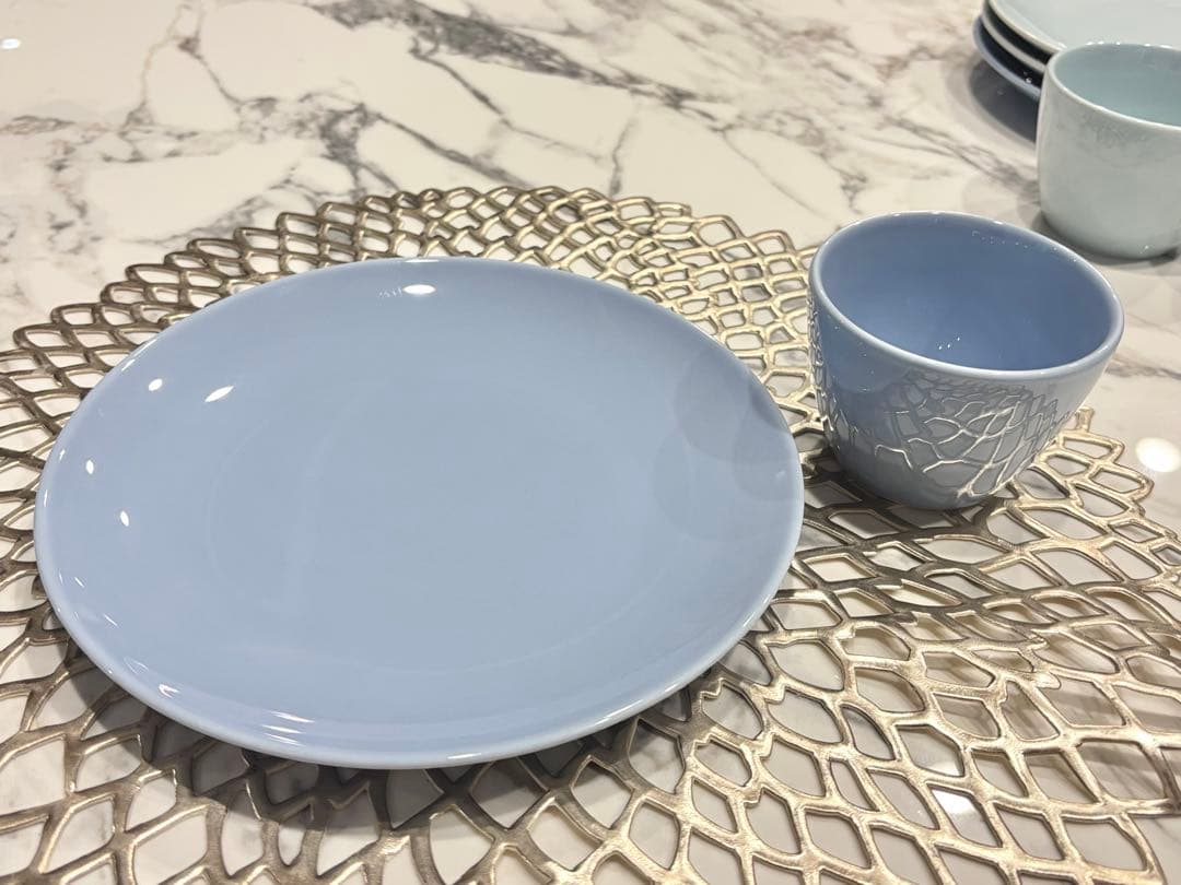 フランス高級老舗【PILLIVUYT（ピリヴィッツ）】プレート&ミニボウル8点