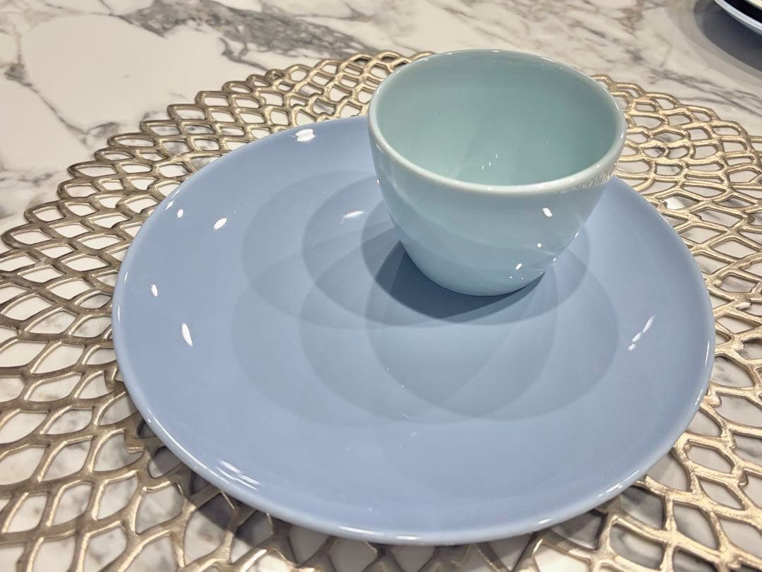 フランス高級老舗【PILLIVUYT（ピリヴィッツ）】プレート&ミニボウル8点