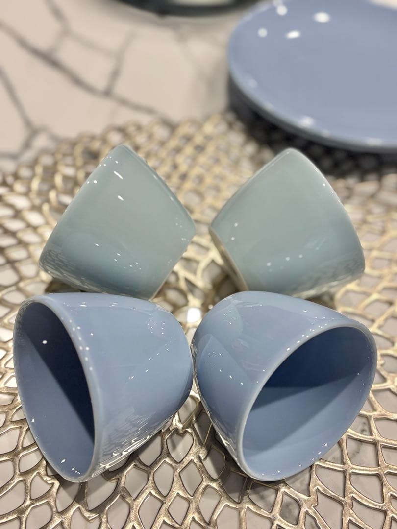 フランス高級老舗【PILLIVUYT（ピリヴィッツ）】プレート&ミニボウル8点