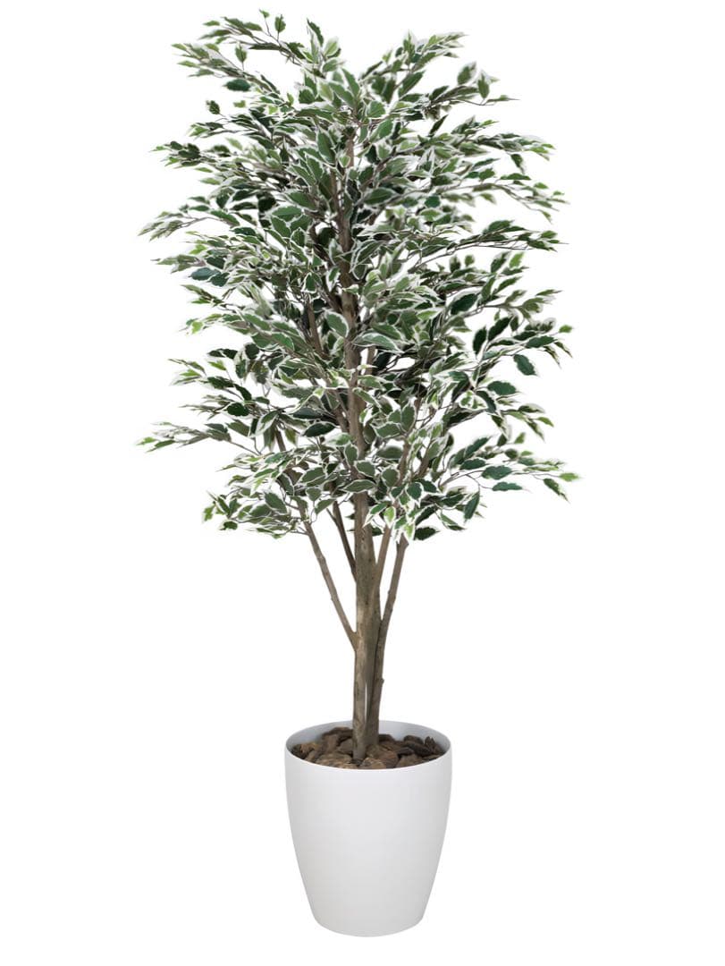 光触媒　人工観葉植物　フェイクグリーン　ベンジャミンツリー斑入リ 1.8m