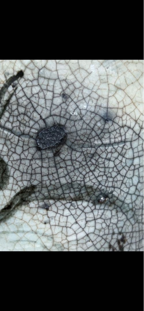 古い鶏龍山徳利(付属品 二重箱) - メルカリ