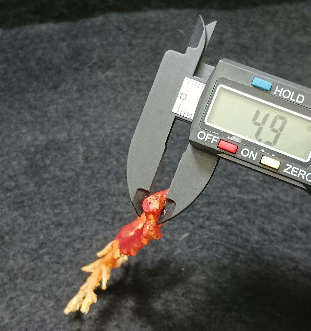 Y2678-7 国産赤珊瑚原木 血赤珊瑚 総重量6.1g