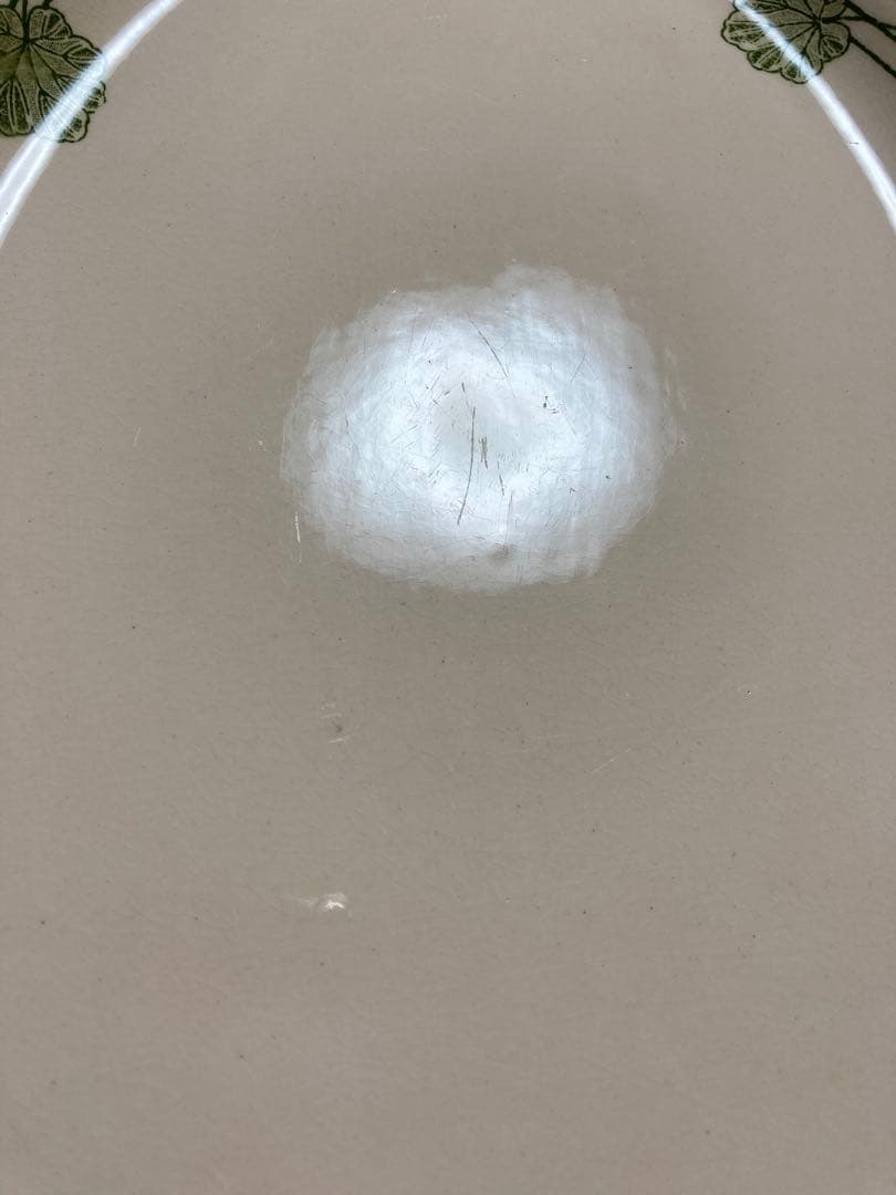 フランス陶器☆サルグミンヌ ゼラニウム オーバルプレート 大皿