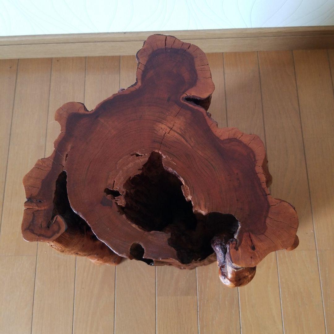 オブジェ置物　アート《ユーカリの古木》稀少！》