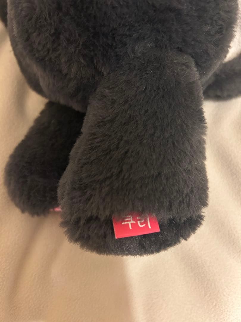 nctwish リク キャラクターバック クリ