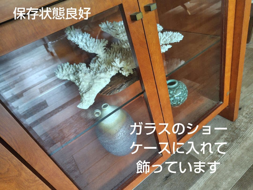 天然白珊瑚　置物 美品　希少な大きさ