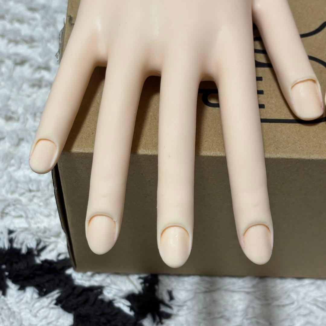 ネイリスト技能検定試験JNEC認定 モデルハンド 両手