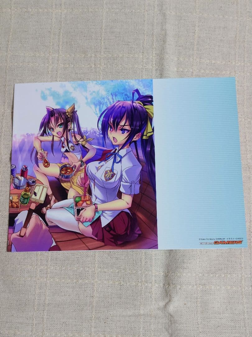 インフィニット・ストラトス　特典ブックカバー　8枚セット