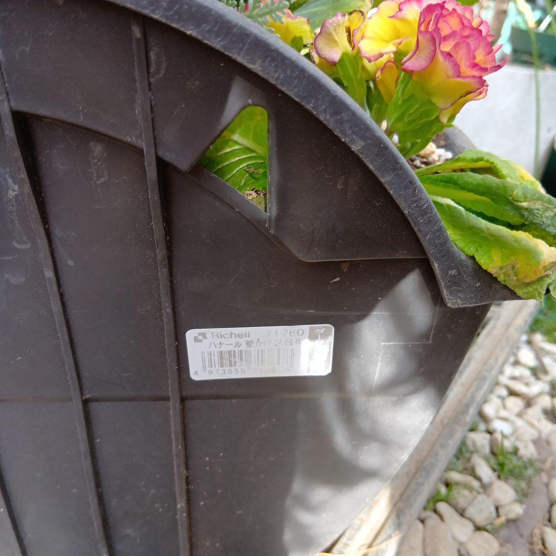 ビオラ 葉牡丹 シクラメン 等 6種 寄せ植え 28型壁掛けプランター