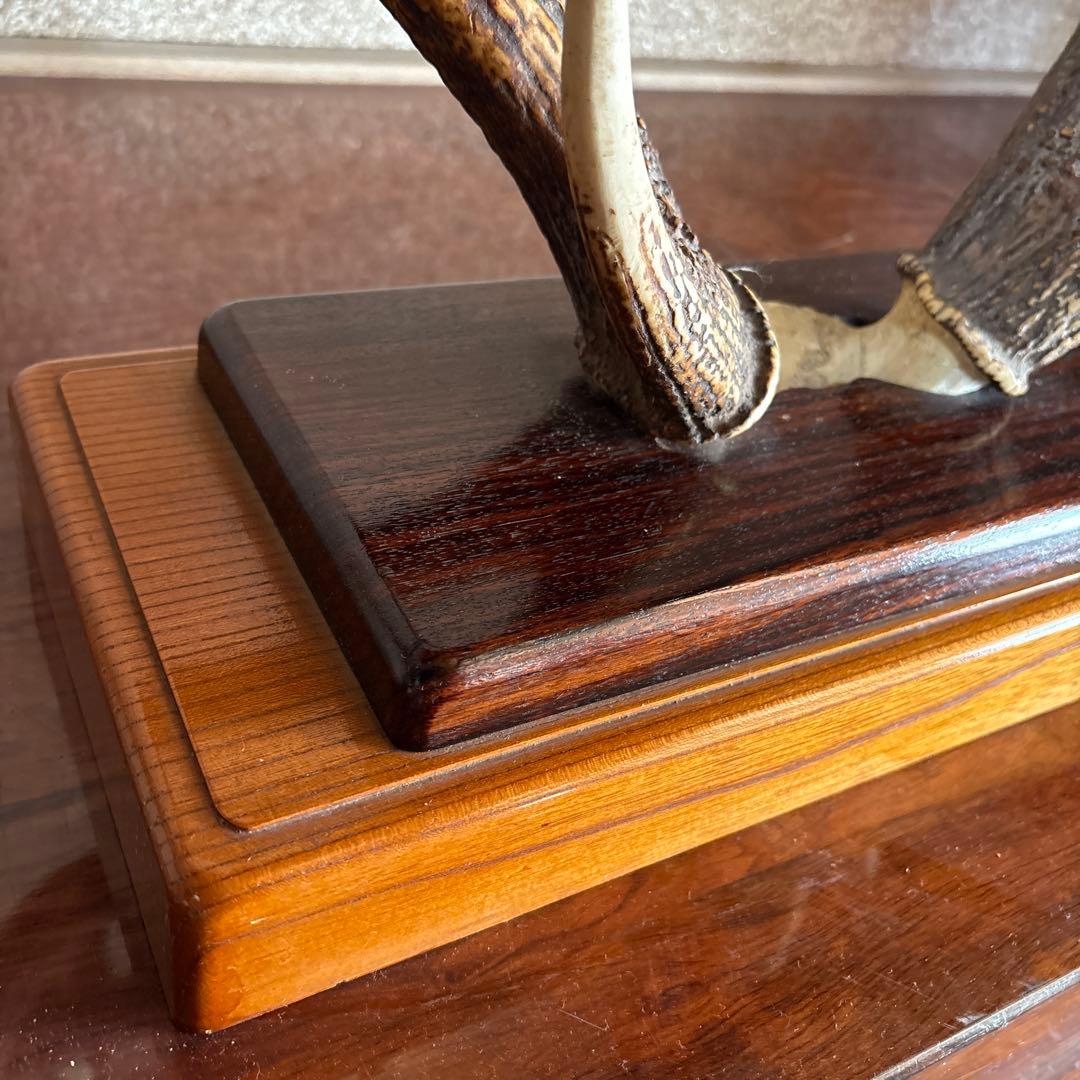 鹿の角　台座付き