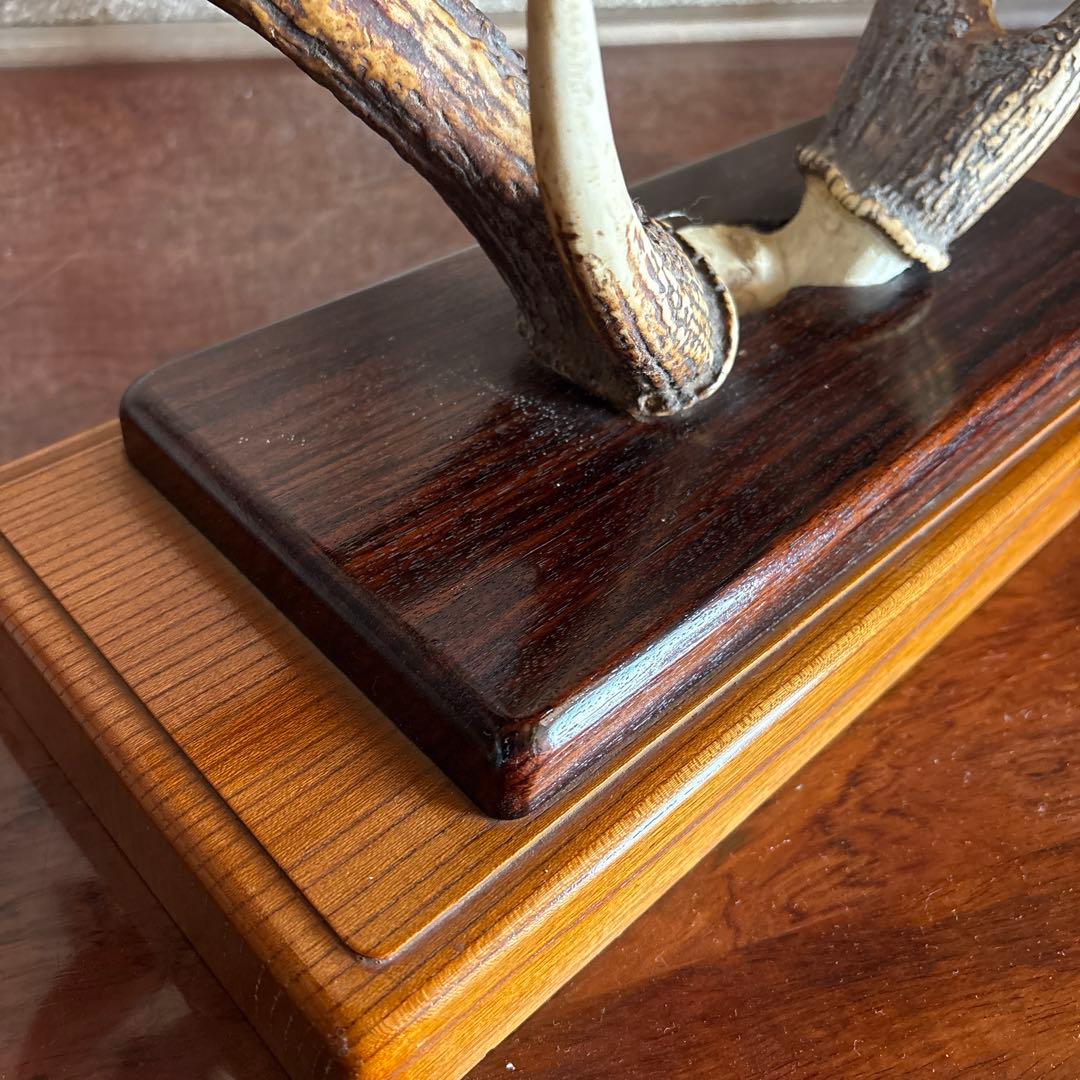 鹿の角　台座付き