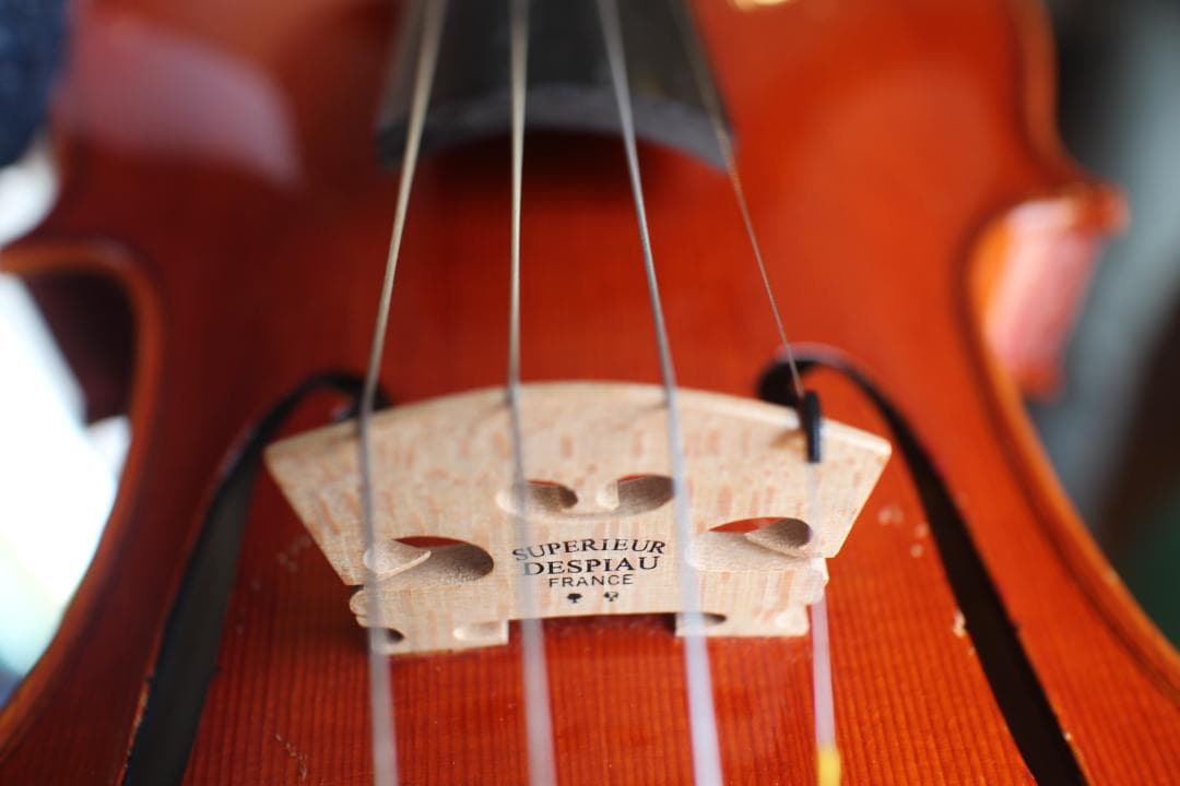 ヴァイオリン フランス製 4/4 Etienne Vatelot 1972年 - メルカリ