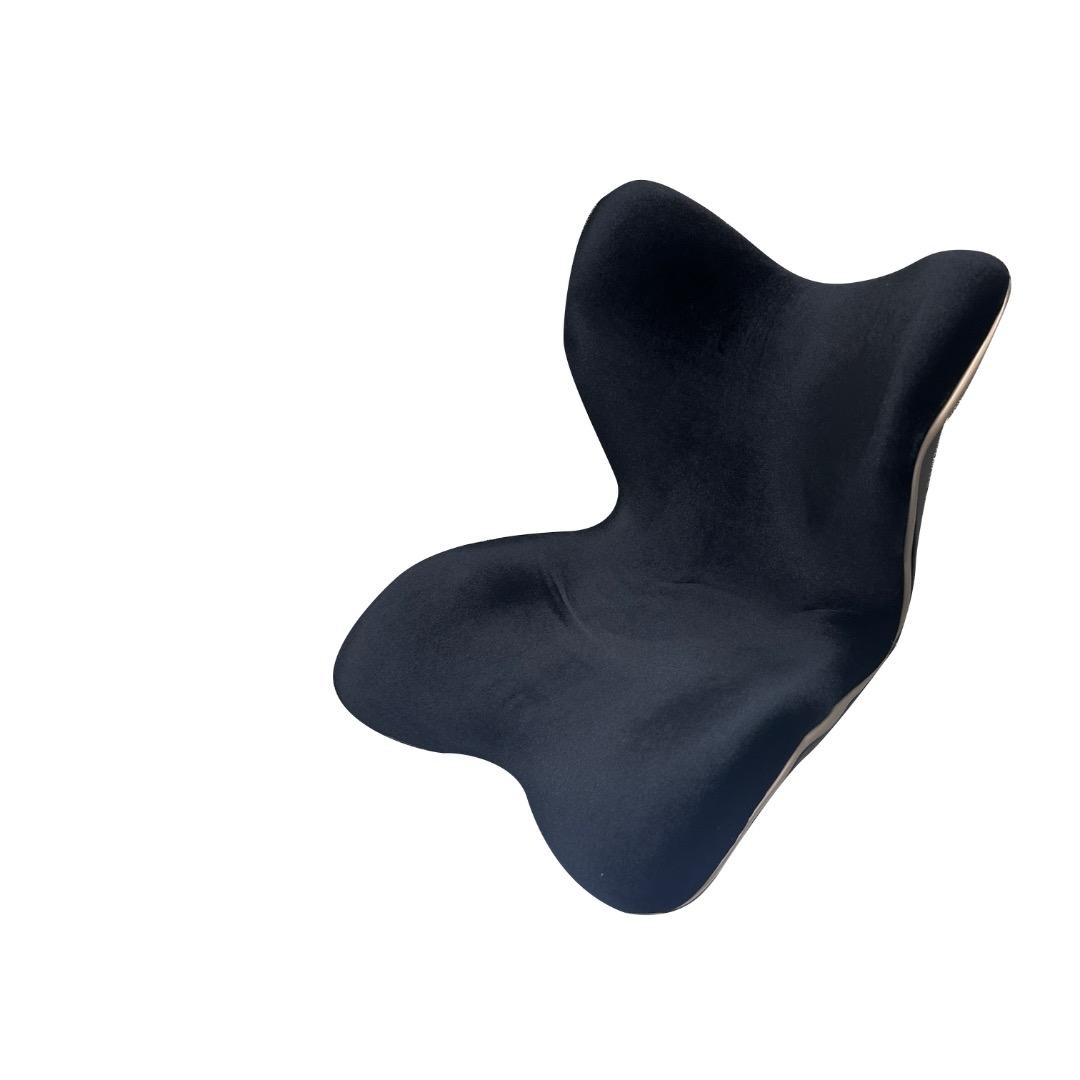 スタイルプレミアムデラックス 「Style PREMIUM DX」