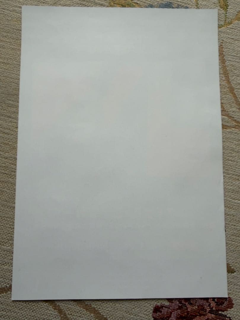 し*け様 マイケル・シェンカー 2026年日本ツアー公式グッズ ピック