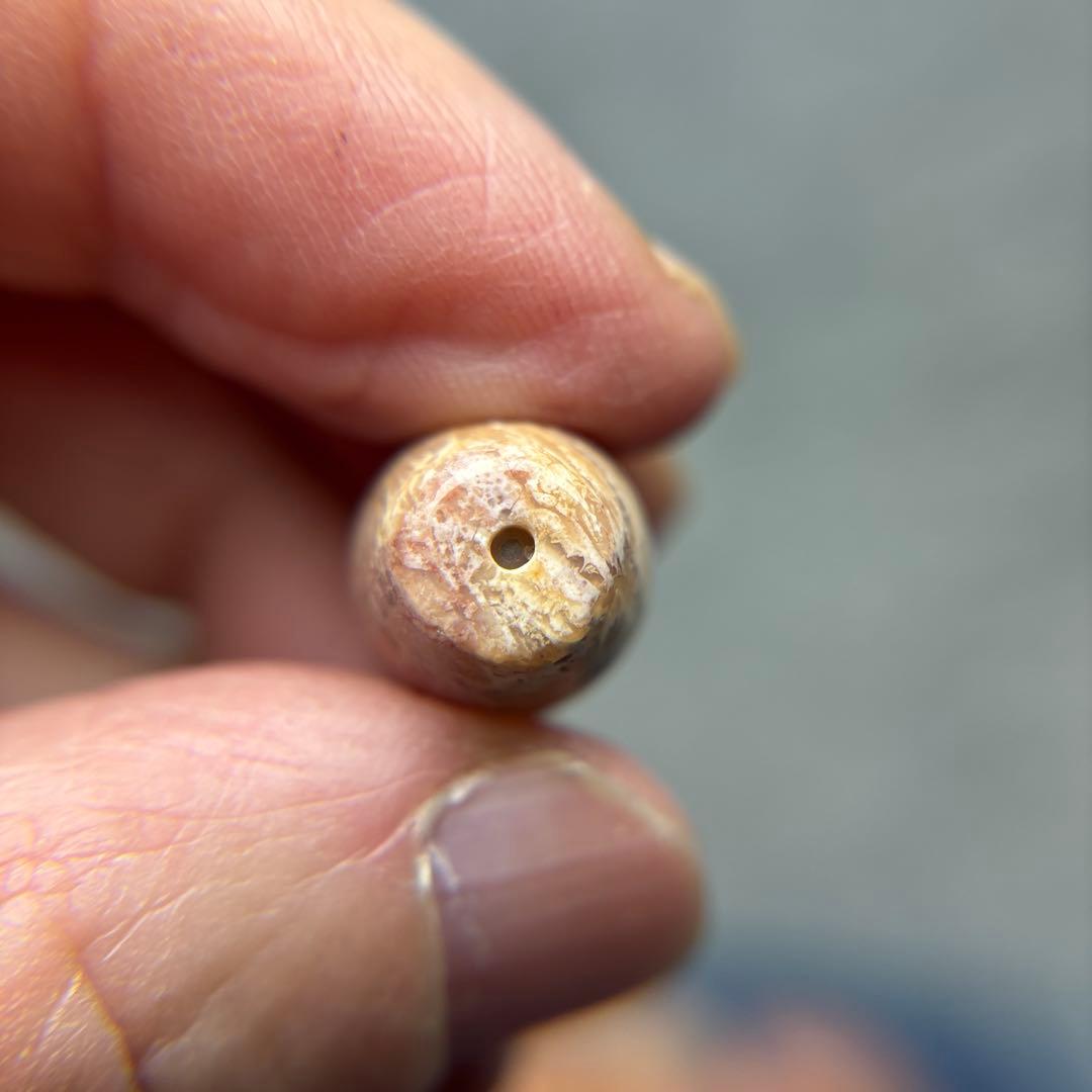 あずきちゃんフォッシルコーラル　天珠　1-303