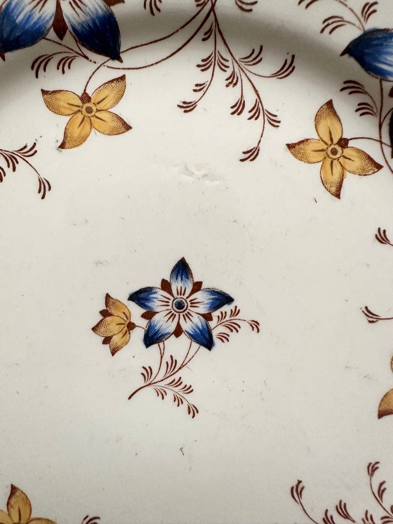 クレイユモントロー　アネモネ　フランス　アンティーク　プレート