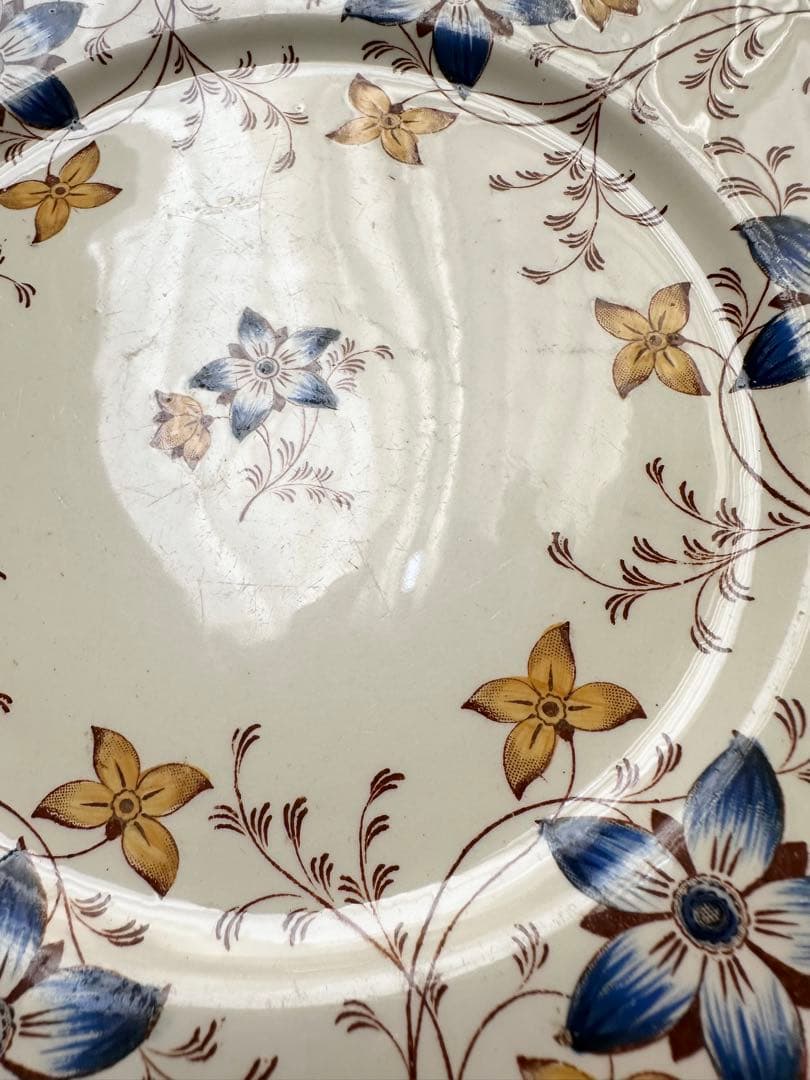 クレイユモントロー　アネモネ　フランス　アンティーク　プレート