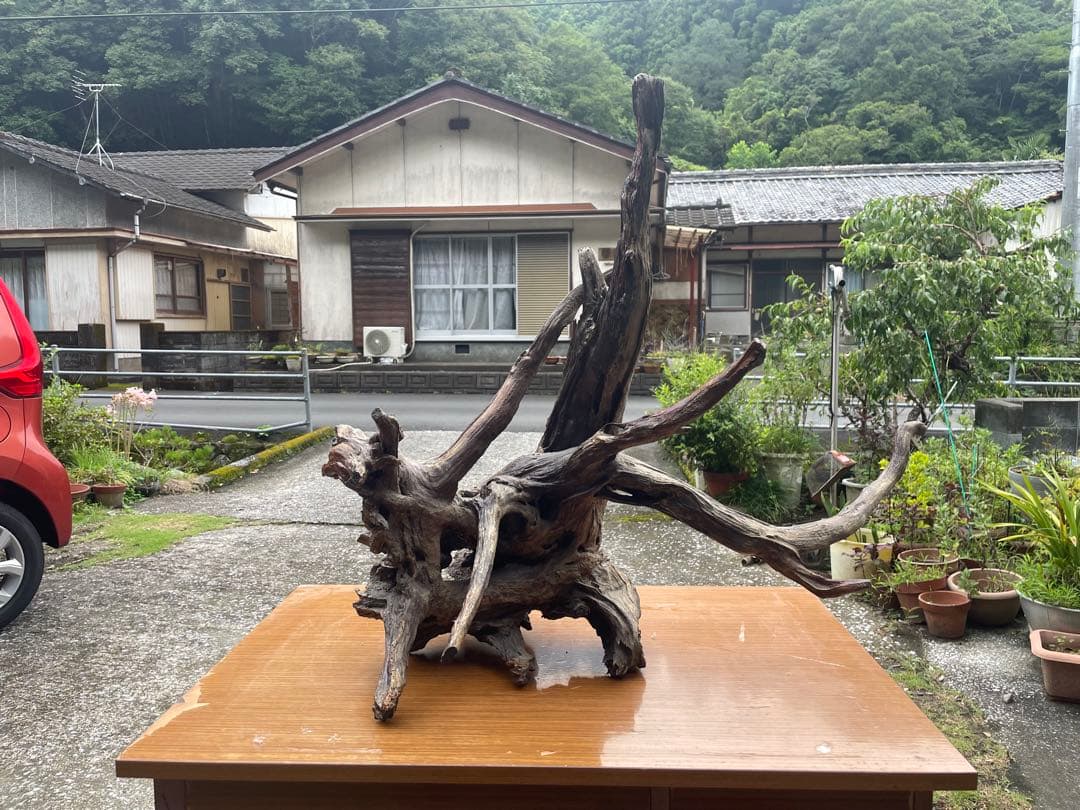 【お値引き相談可】流木 インテリア装飾 置物