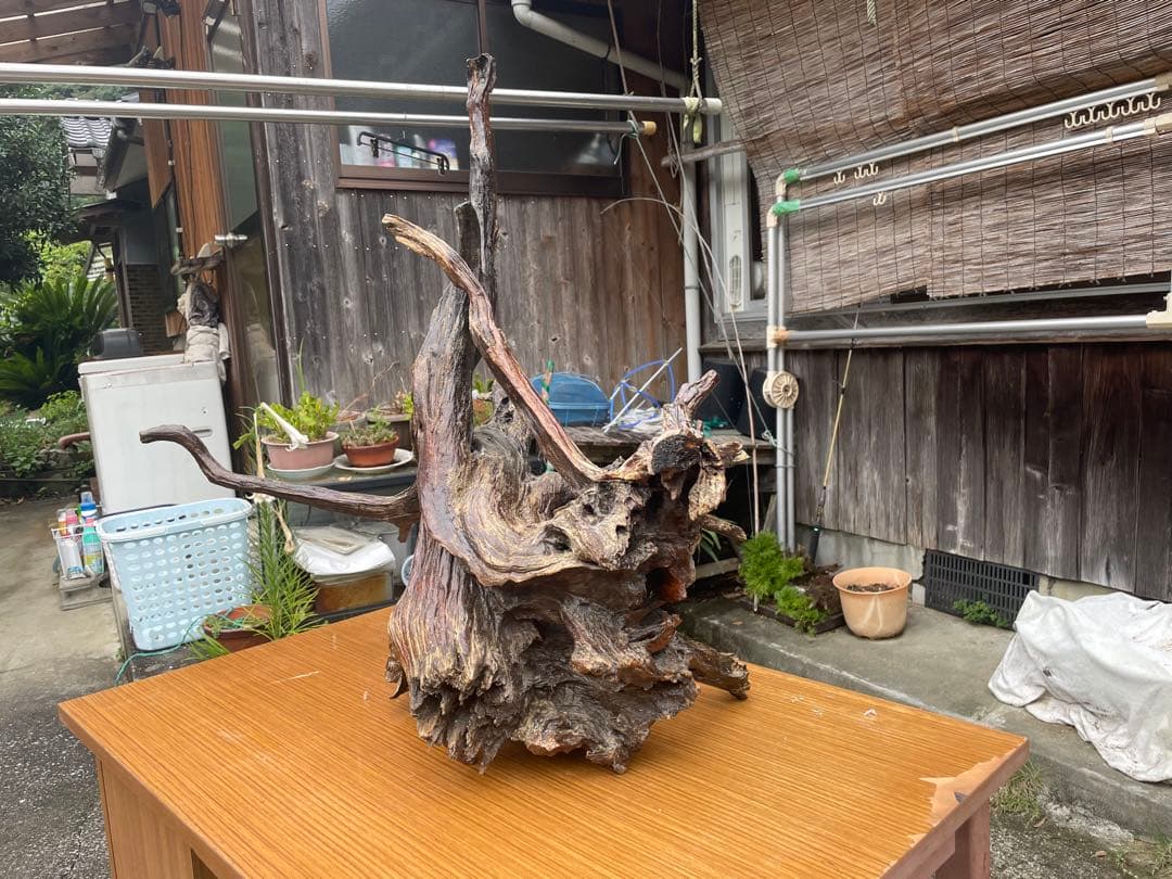 【お値引き相談可】流木 インテリア装飾 置物
