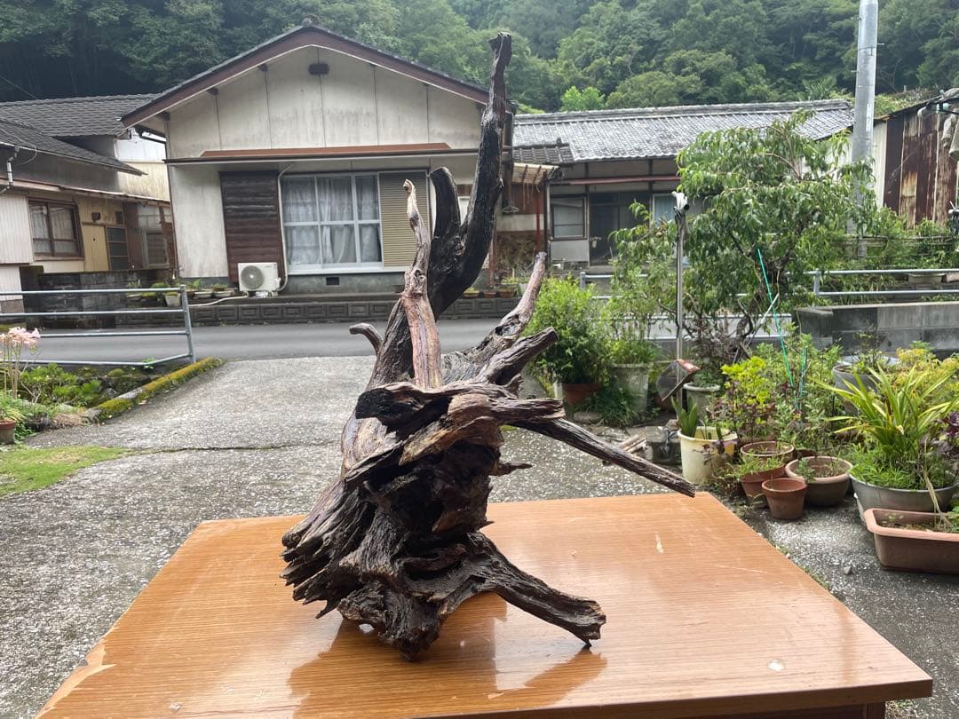【お値引き相談可】流木 インテリア装飾 置物