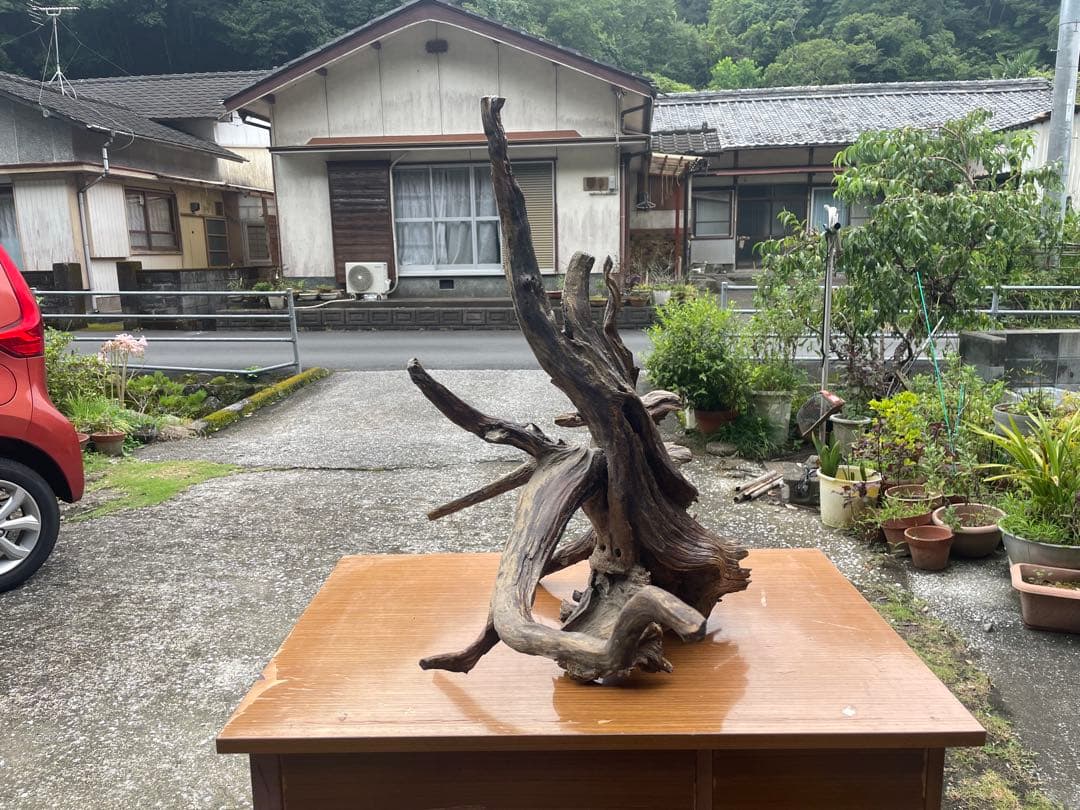 【お値引き相談可】流木 インテリア装飾 置物