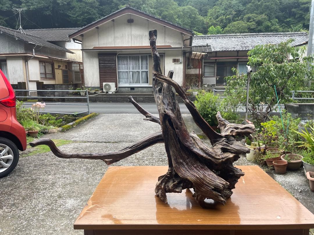 【お値引き相談可】流木 インテリア装飾 置物